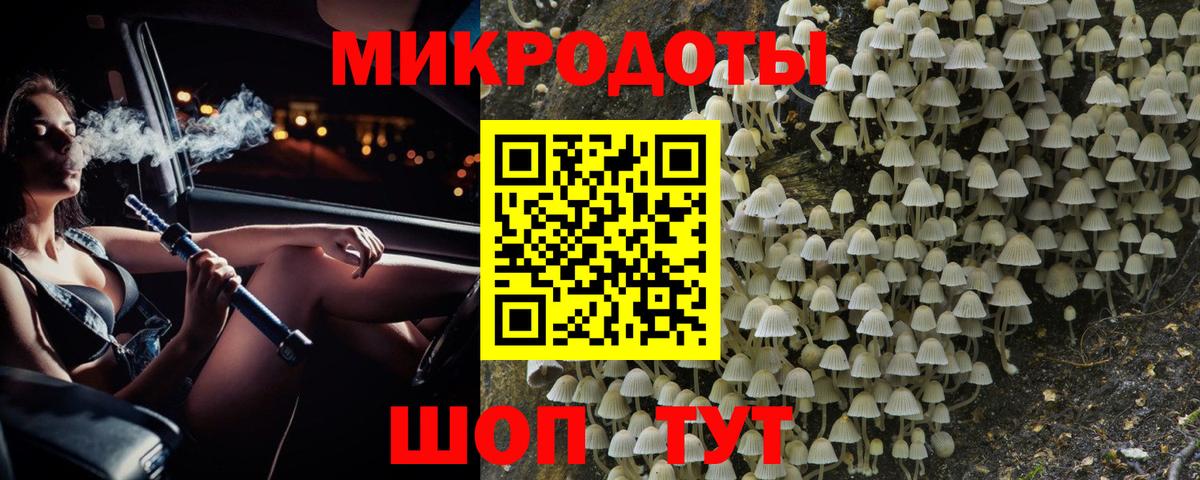 Белебей  Галлюциногенные грибы Psilocybine cubensis  Вход с VPN 